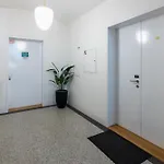 Modern In A Quiet Yet Location 公寓 布拉格